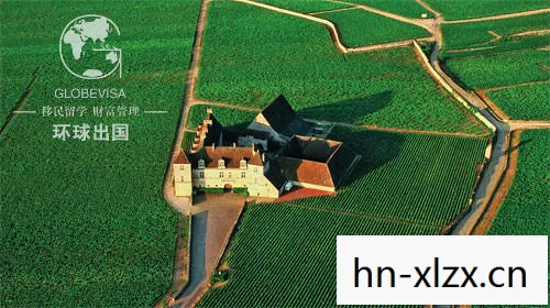 模拟农场，数字时代的农业新体验