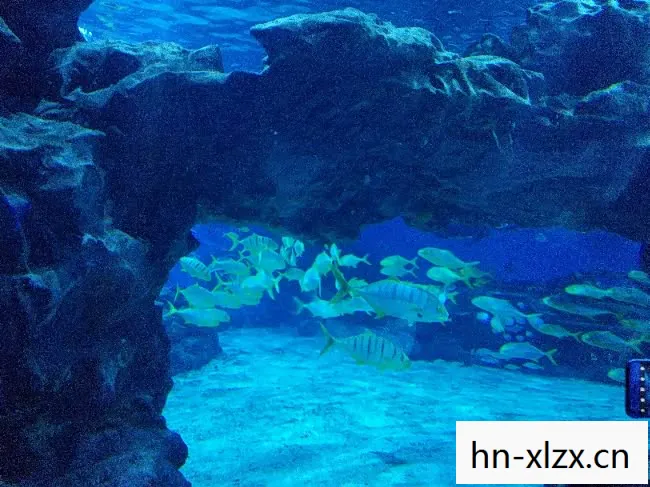 渔获,探索海洋的奇妙之旅 渔获,探索海洋的奇妙之旅