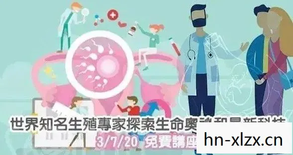 金贝贝和绿贝贝瓜哪个好吃，金贝贝，探索财富增值的奥秘
