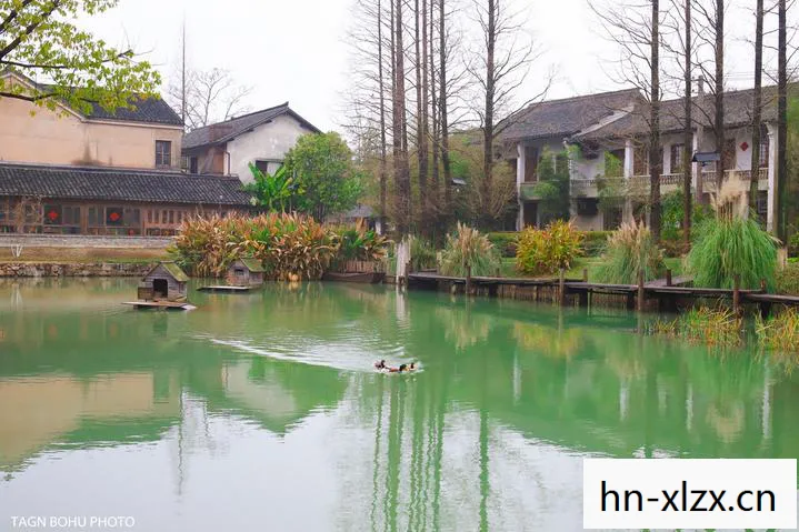湖边小屋，静谧时光中的温馨港湾