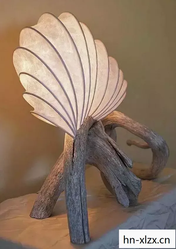 漂木，自然与时间的艺术