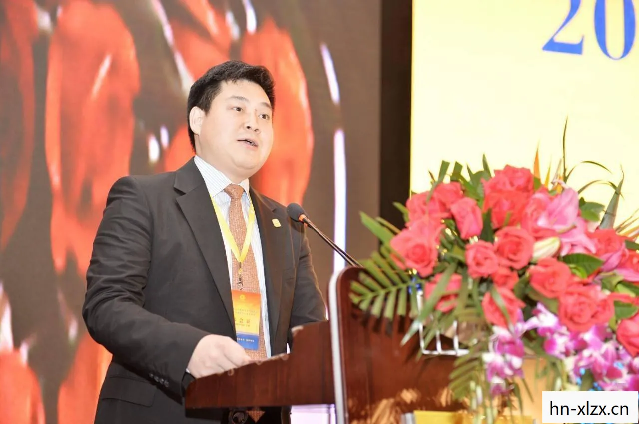 国家的崛起秘籍，探索成功背后的力量