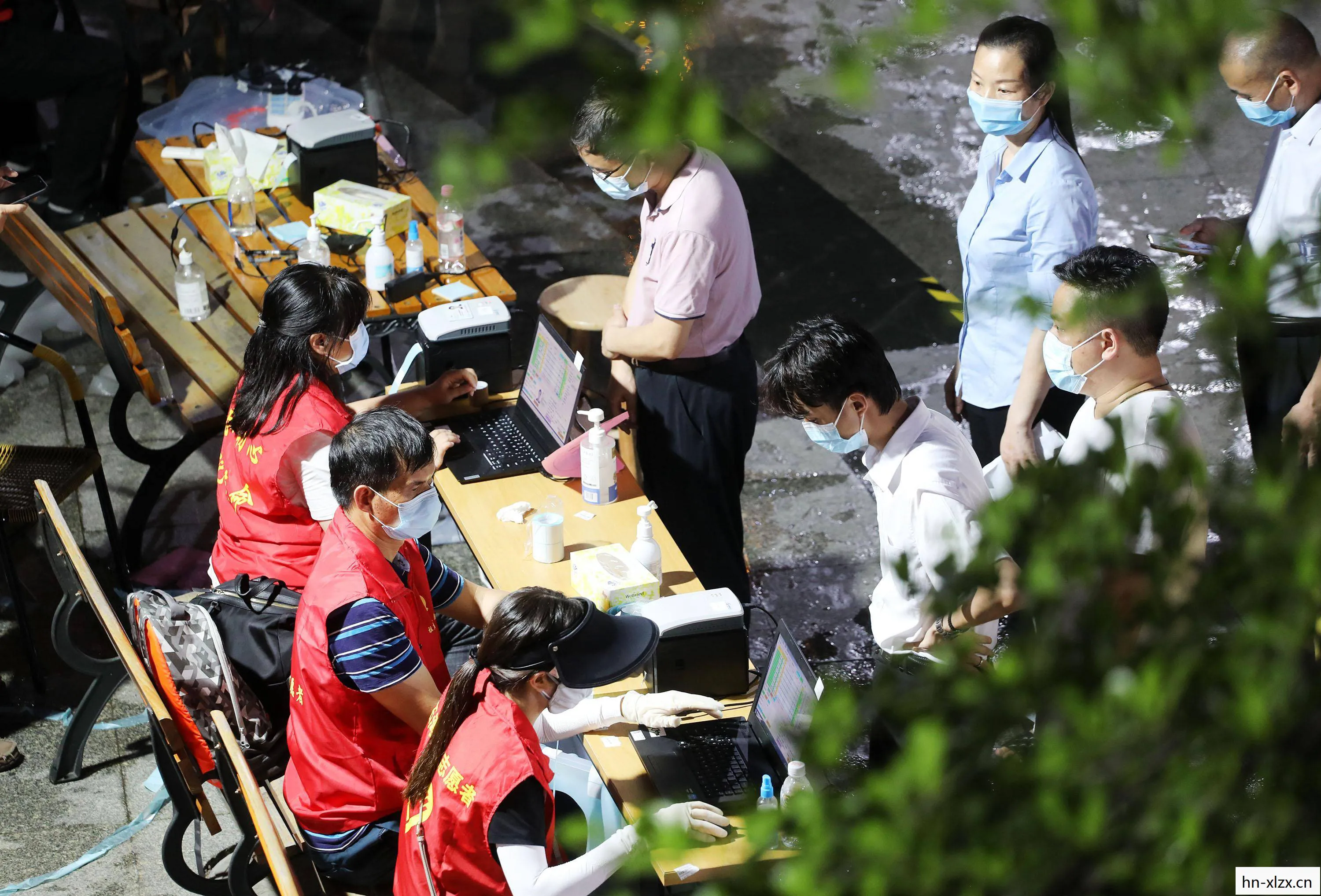 银龙鱼图片大全，银龙鱼，神秘而优雅的淡水鱼