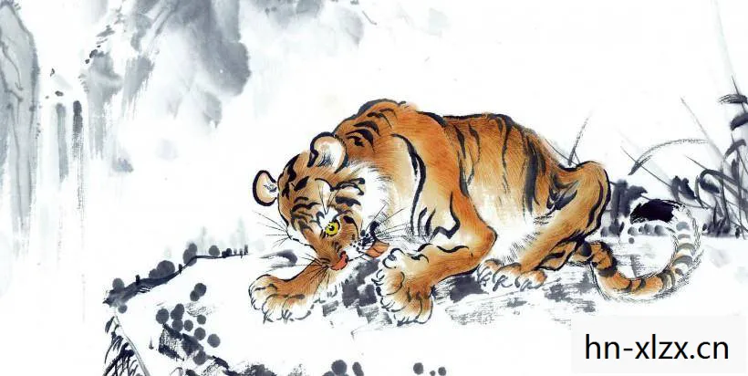虎人今日运势和财运,虎人,勇猛与智慧的化身 虎人今日运势和财运,虎人,勇猛与智慧的化身