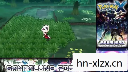 口袋妖怪XY下载3ds,口袋妖怪XY,经典游戏的数字版新体验 口袋妖怪XY下载3ds,口袋妖怪XY,经典游戏的数字版新体验