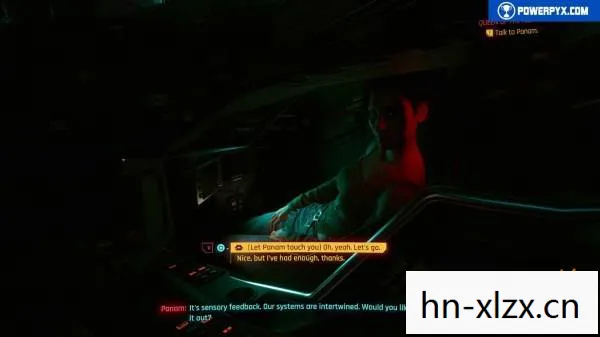 赛博朋克帕南，夜之城中的反叛之花