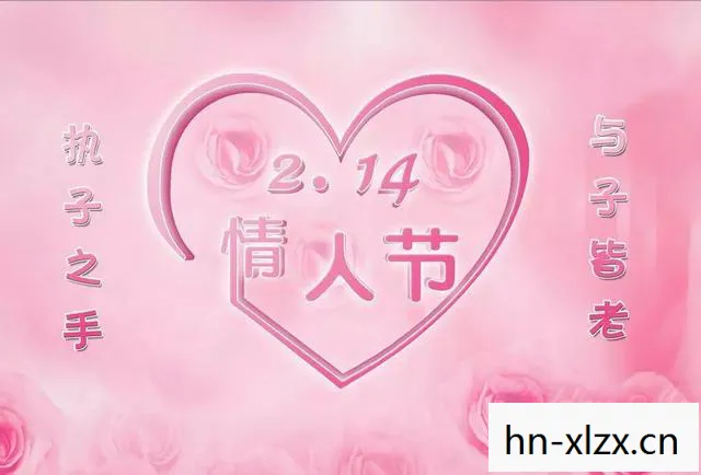 梦幻情人节，浪漫与惊喜的交织