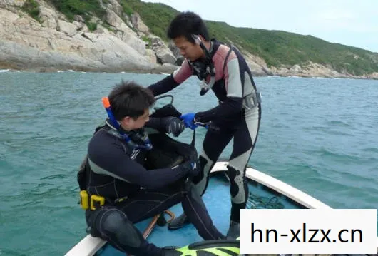 新出网游，探索未知世界的奇妙之旅
