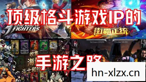 大型单机游戏大全，探索无限可能的娱乐盛宴