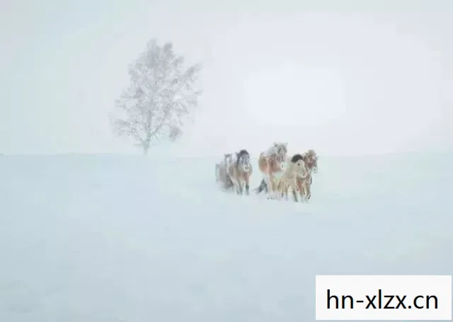 冬之怒，寒冷中的温暖与坚韧