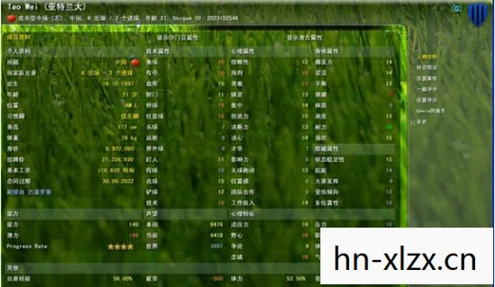 足球经理2010攻略，打造无敌球队，称霸绿茵场