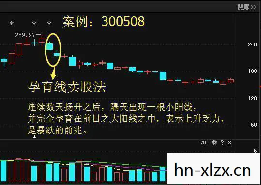 E.D.E.N:最终防线，最终防线，网络安全与隐私保护的终极挑战
