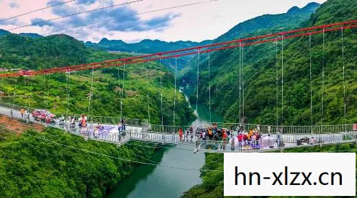 天际社区，连接你我，跨越数字鸿沟的桥梁