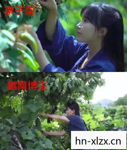 李子柒回应原创问题,坚守初心,捍卫创作自由 李子柒回应原创问题,坚守初心,捍卫创作自由