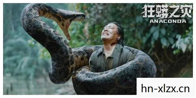 中国版的狂蟒之灾，自然奇观与文化传承的交响曲