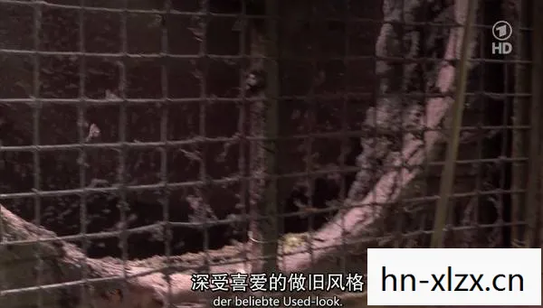 雨血之死镇，迷雾笼罩的小镇与不为人知的秘密