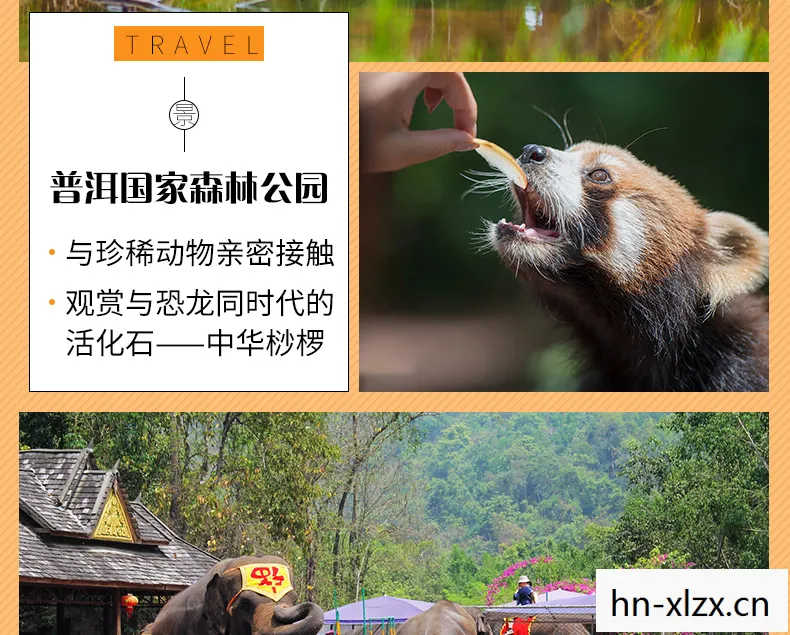 寻找小狸子,一场关于自然与探索的奇妙旅程 寻找小狸子,一场关于自然与探索的奇妙旅程