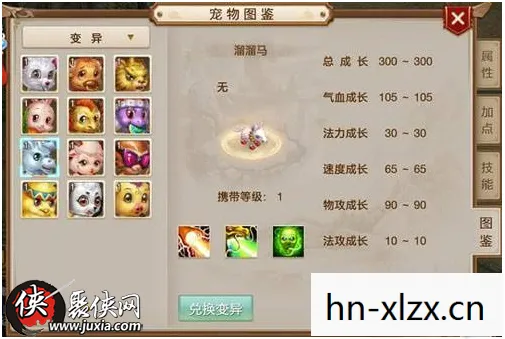 问道宠物顿悟技能怎么升级，问道宠物顿悟技能，解锁宠物潜能，提升战斗实力