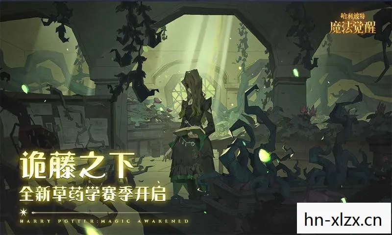 哈利波特游戏官网入口，哈利波特，魔法觉醒，第六年的冒险