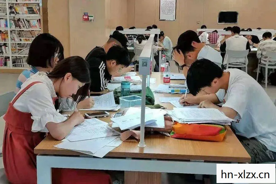 女孩与机器人，共筑未来之梦