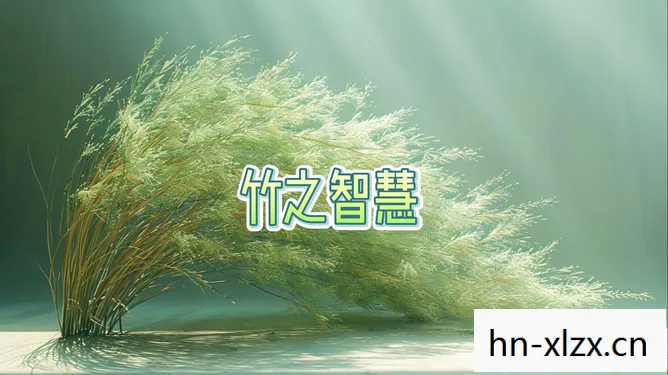 无知的小草，生命的坚韧与启示