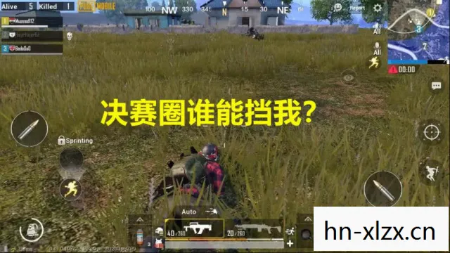 刺激战场中的神秘存在图片