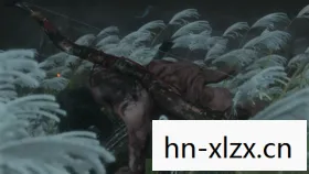 苇名一心怎么打，苇名一心，忍者之祖的传奇人生