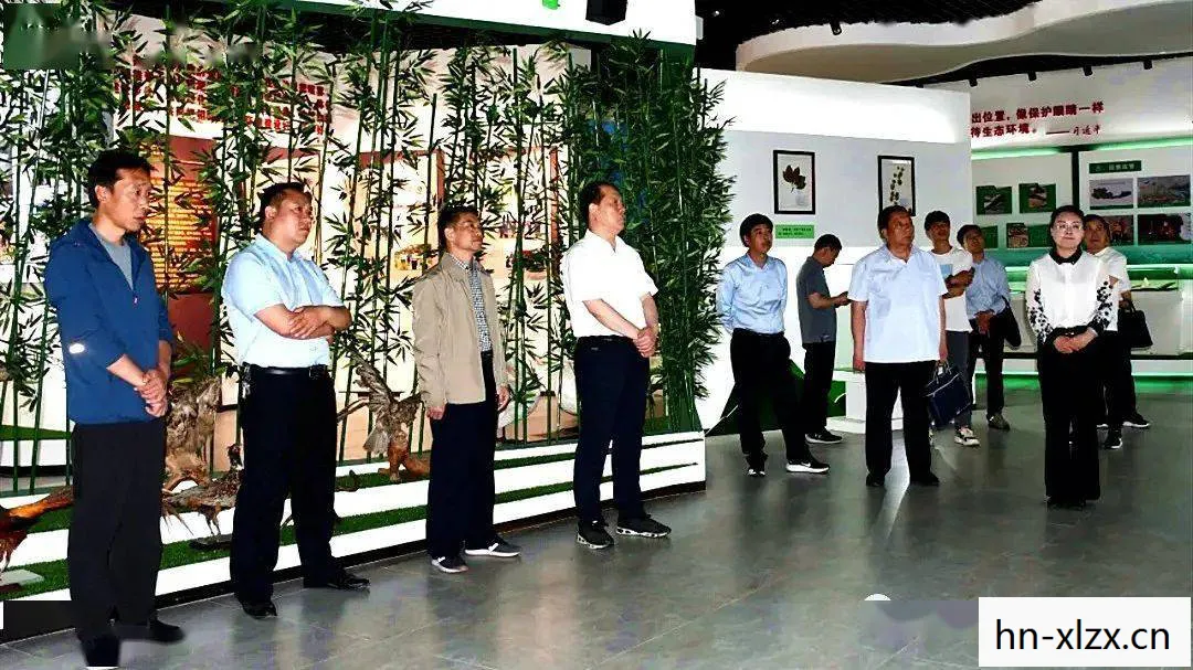 巨神峰和哪些区合区了，巨神峰，自然与神话的交汇点