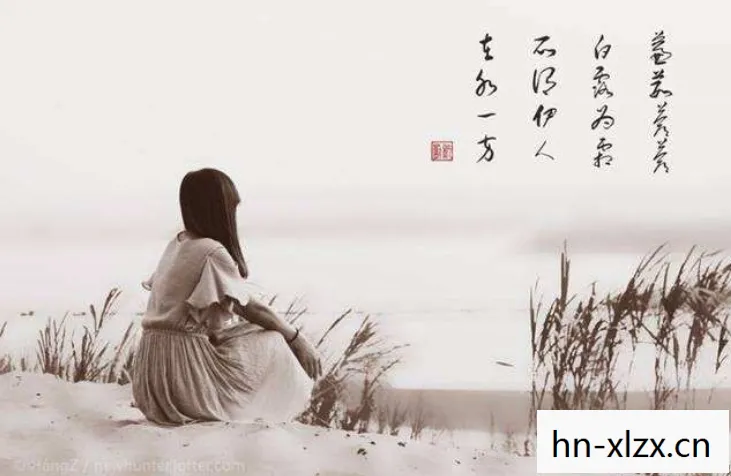 蒹葭汉化组现在怎么样了，蒹葭汉化组，以热爱之名，筑梦翻译之路