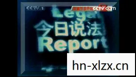 酒店大亨免广告破解版，酒店大亨，从默默无闻到业界巨头的传奇之路
