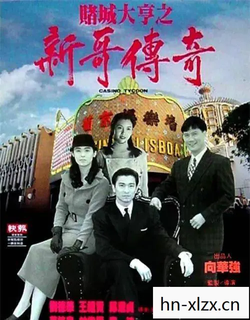 酒店大亨免广告破解版，酒店大亨，从默默无闻到业界巨头的传奇之路