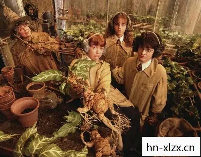 一场魔法与冒险的奇幻之旅图片