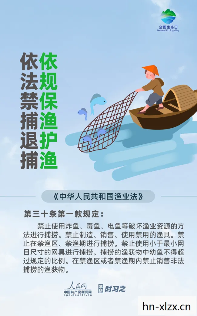 守卫家园，从个人到社会的责任与担当