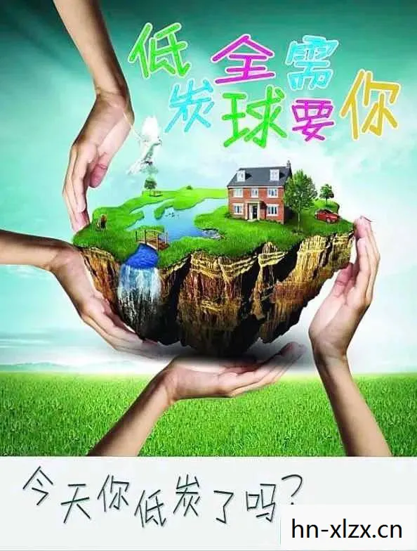 守卫家园，从个人到社会的责任与担当