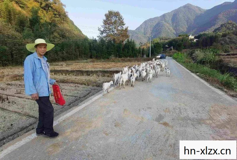 沙门村的变迁，从贫困到富裕的乡村振兴之路