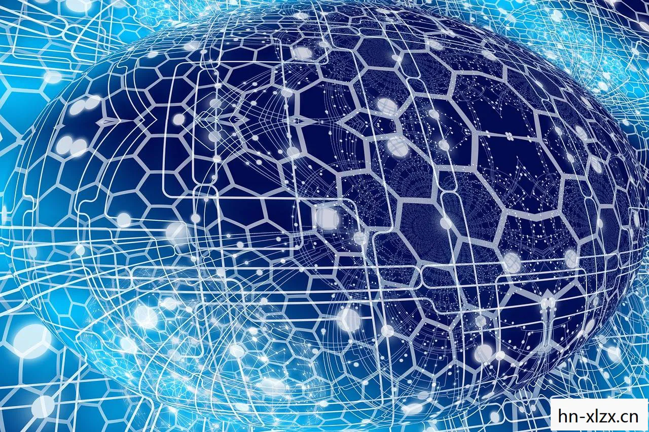 从艺术到科学的探索图片