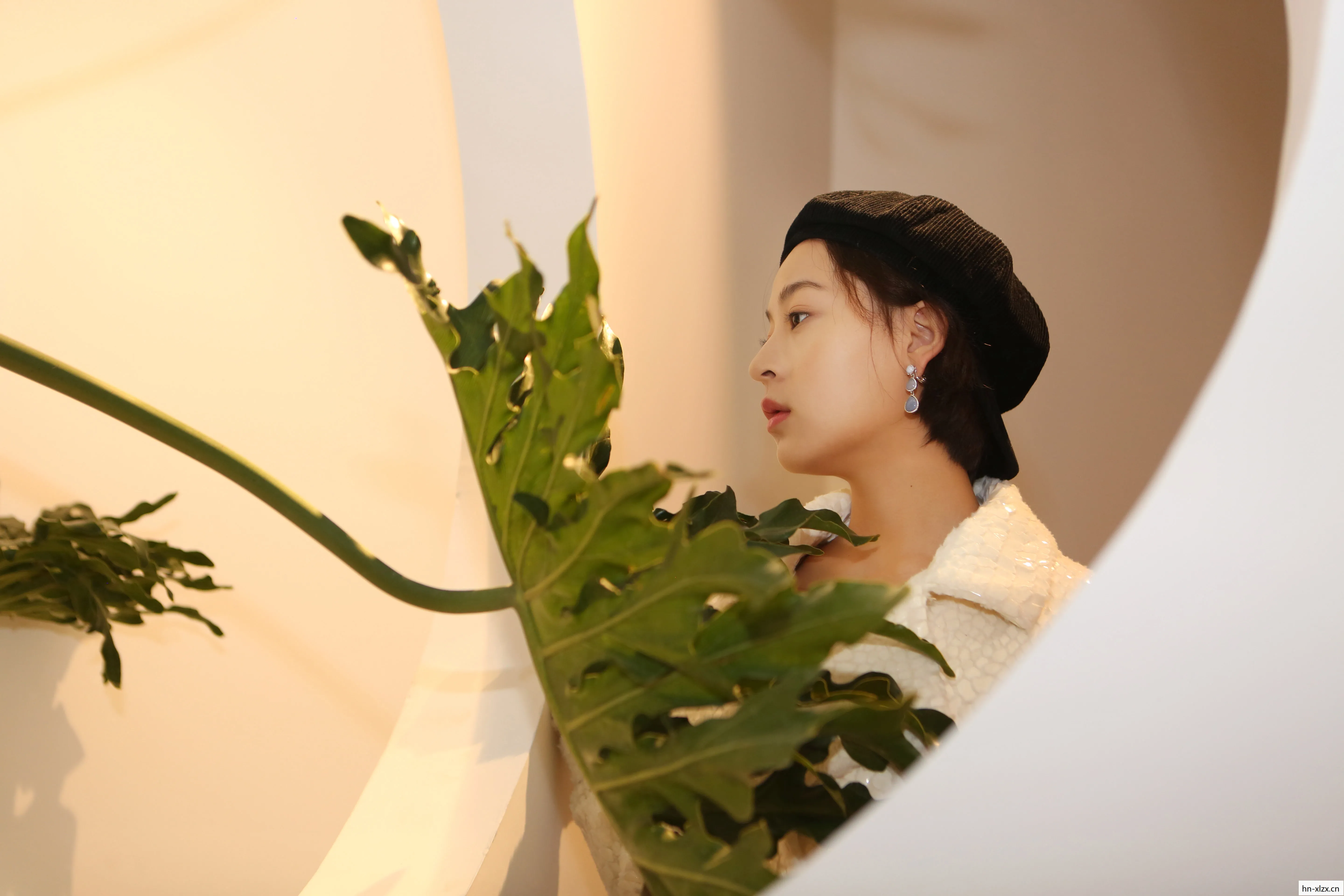 芹疗影，光影交织中的生活艺术