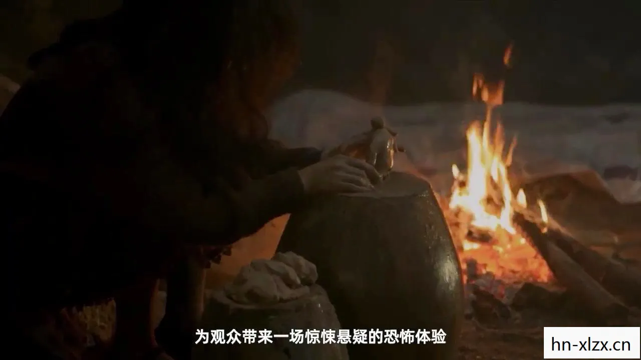 隐蔽深林,探索未知的自然奥秘 隐蔽深林,探索未知的自然奥秘