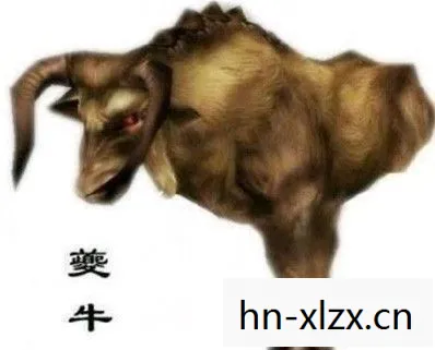 卡马拉兽,神秘而古老的传说 卡马拉兽,神秘而古老的传说