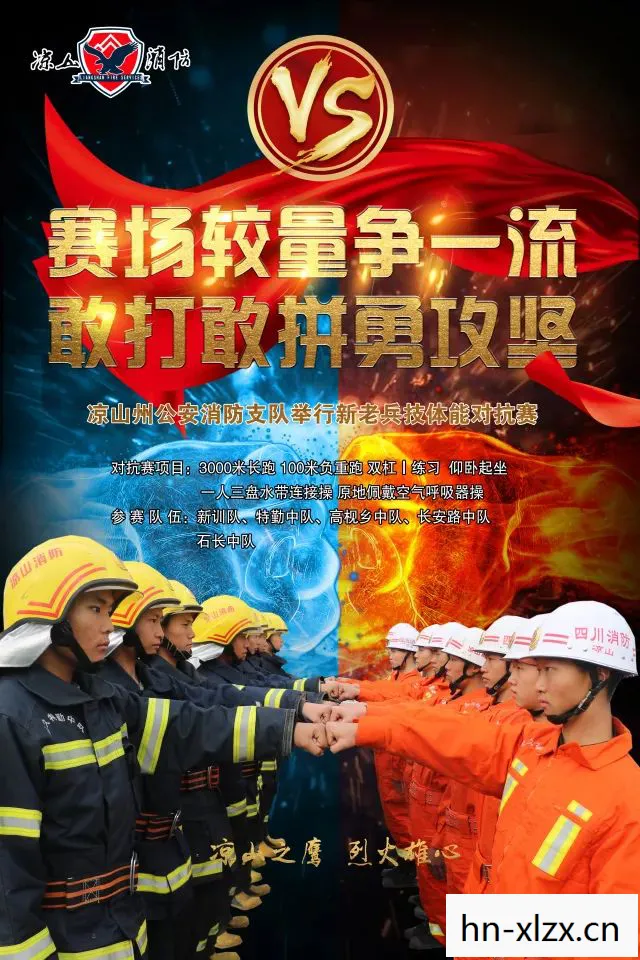 龙虎斗，一场智慧与勇气的较量