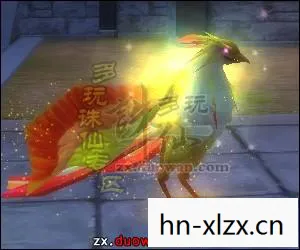 幻鸟龙玉怎么获取，幻鸟，穿越现实的梦幻之翼