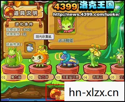 洛克王国斑斑猫在哪怎么抓，洛克王国，捕捉斑斑猫的技巧与攻略