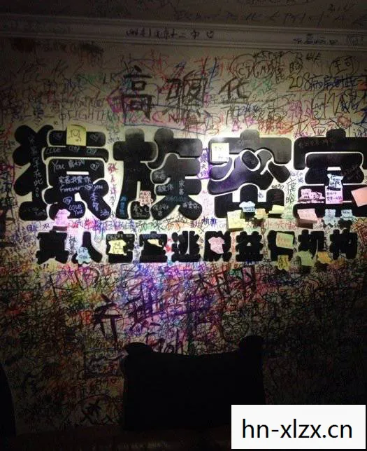 密室解谜逃脱攻略，密室逃脱，解锁智慧与勇气的挑战