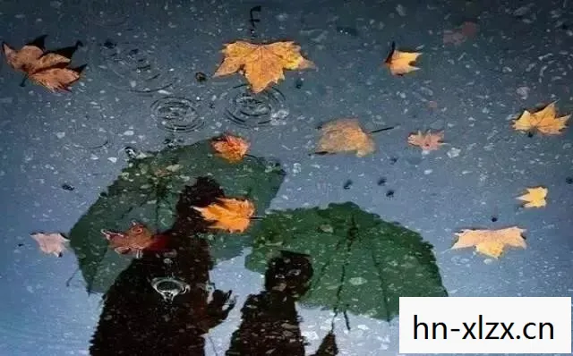 q秋雨y，秋雨奇迹，自然之美的赞歌