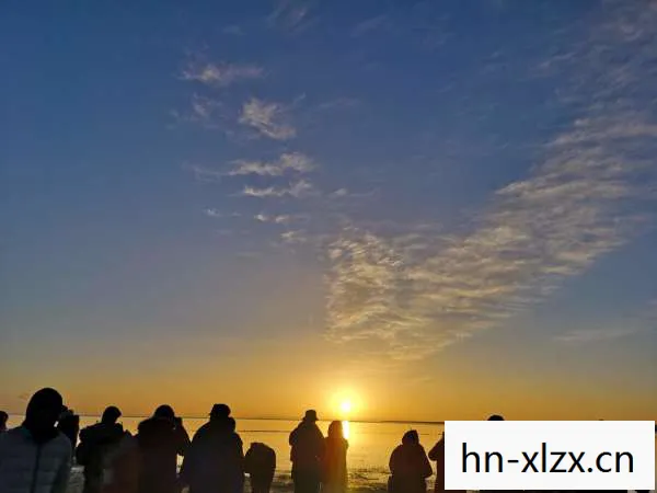 双人成行，携手共进的奇妙旅程