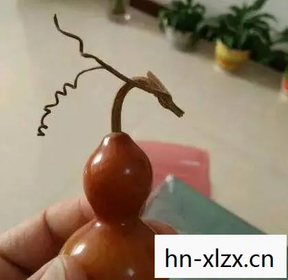 生命的隐喻与成长的启示图片
