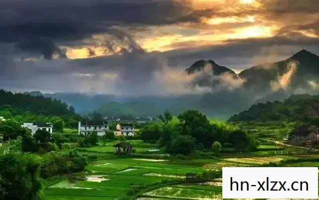 蚱蜢闹翻天，一场意外的生态奇观