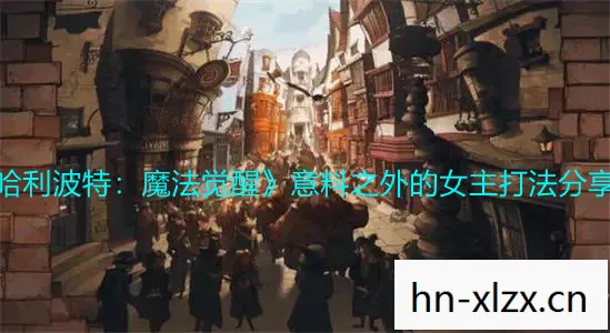 哈利波特，探索魔法世界的单机游戏之旅