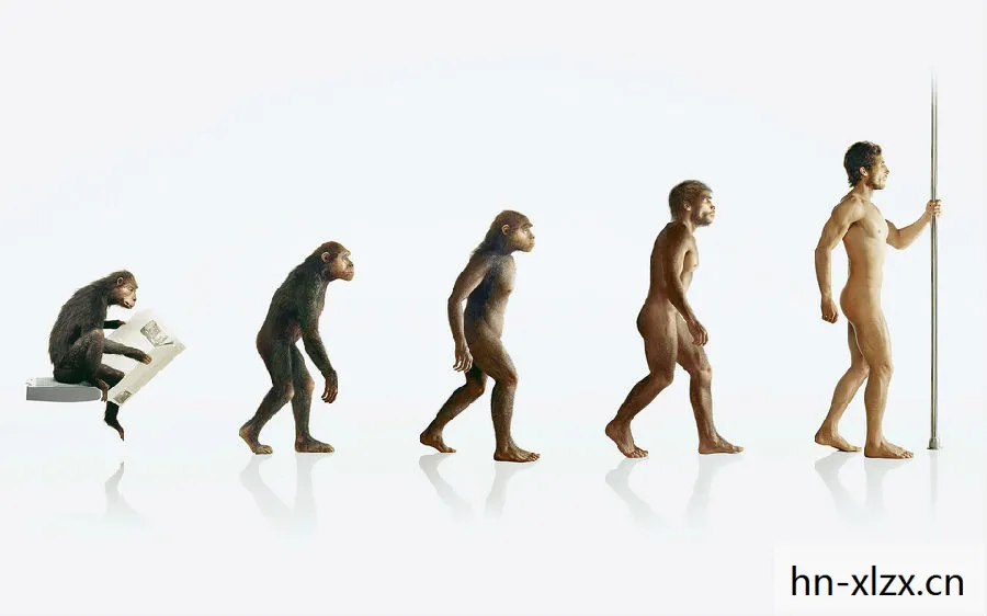 世界上最柔软的人，探索人类情感与内心的柔软边界
