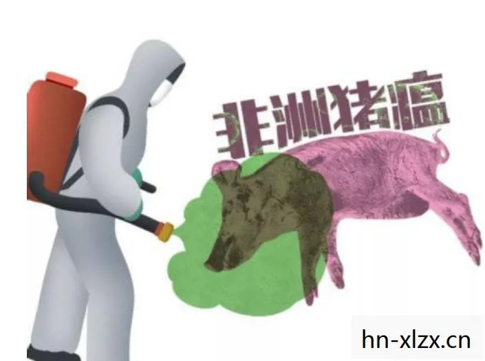 偷猪，一场关于贪婪与救赎的寓言